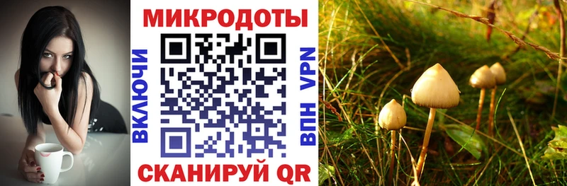 Купить  Тольятти  Псилоцибиновые грибы мицелий 